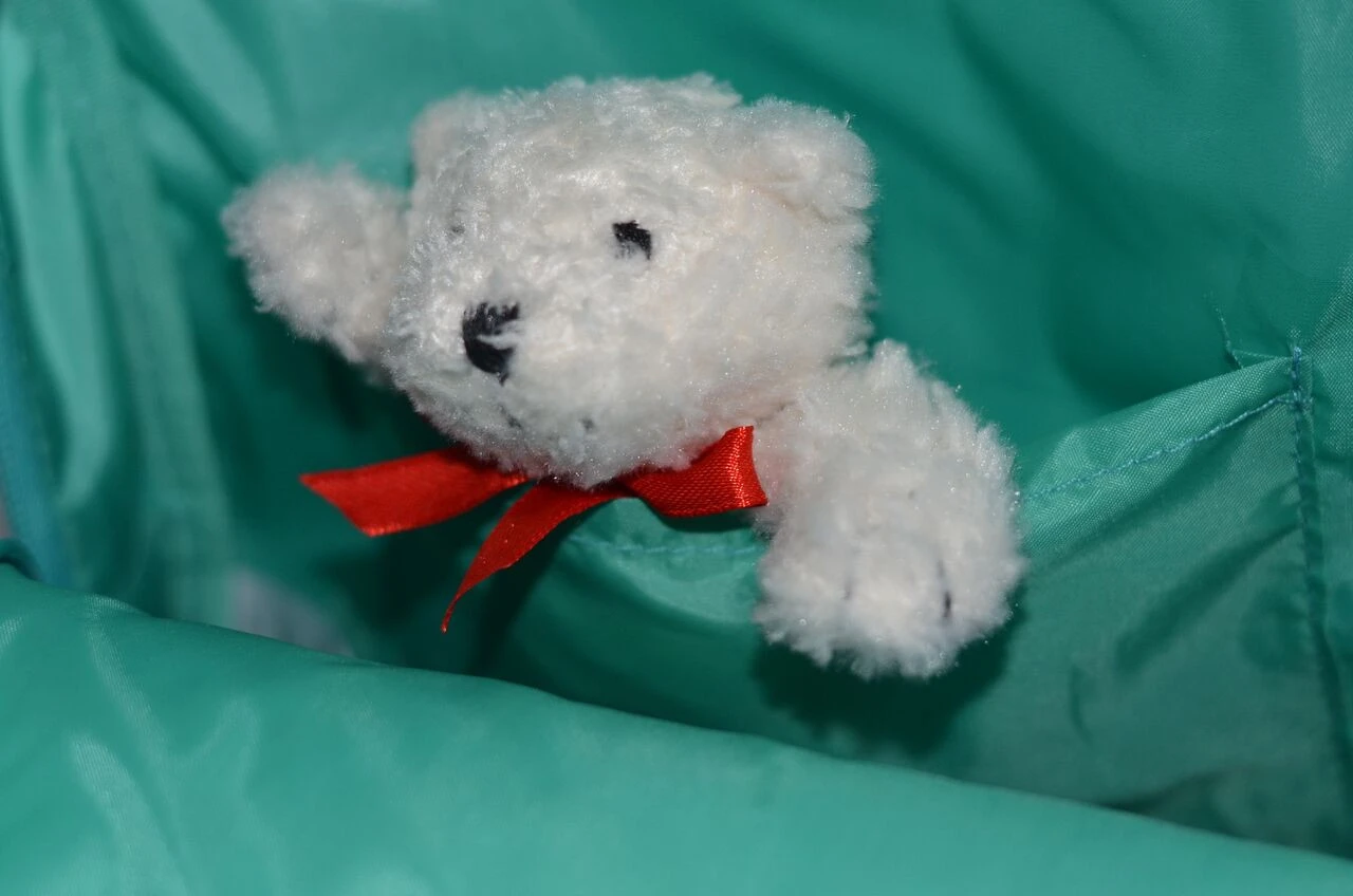 Djeco Maus 8 Djeco Maus – Bild 6