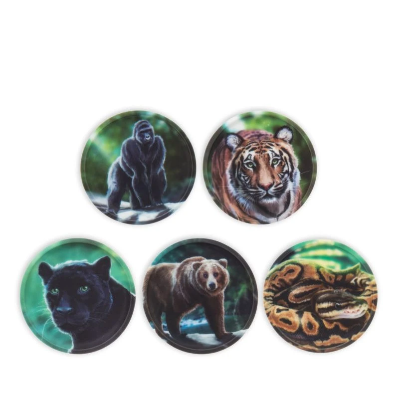 Ergobag Klettie-Set (5-tlg.) MATT - Dschungel 3 Ergobag Klettie-Set (5-tlg.) MATT - Dschungel