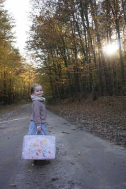 Djeco Koffer Vögel -Schulrucksack 59474