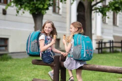 Rucksack BOLL SMART Artwork Collection 24 L Feathers - Teal -Schulrucksack 78934